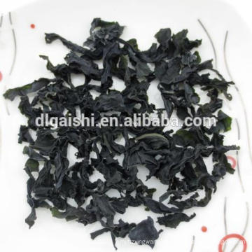 Exportar Kosher Dark Green Grade ABC secado corte Wakame algas marinas